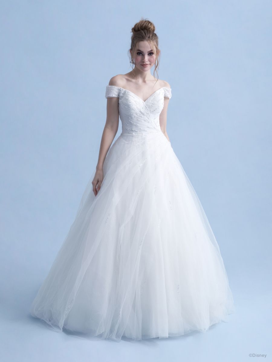 Cinderella 2021 Corset (D283) HIRE