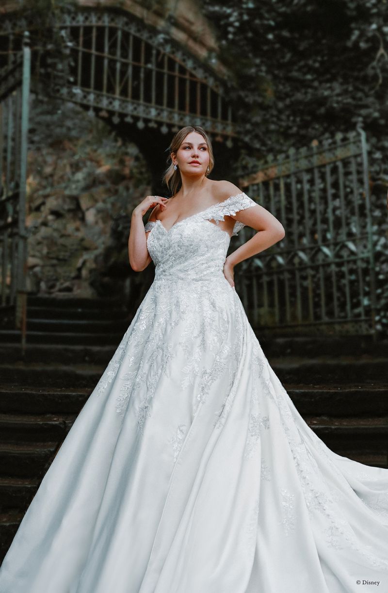 Elevated Cinderella 2022