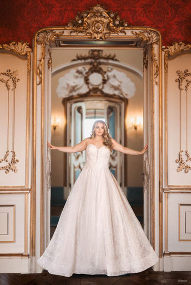 Cinderella 2023 Lined (D363L)