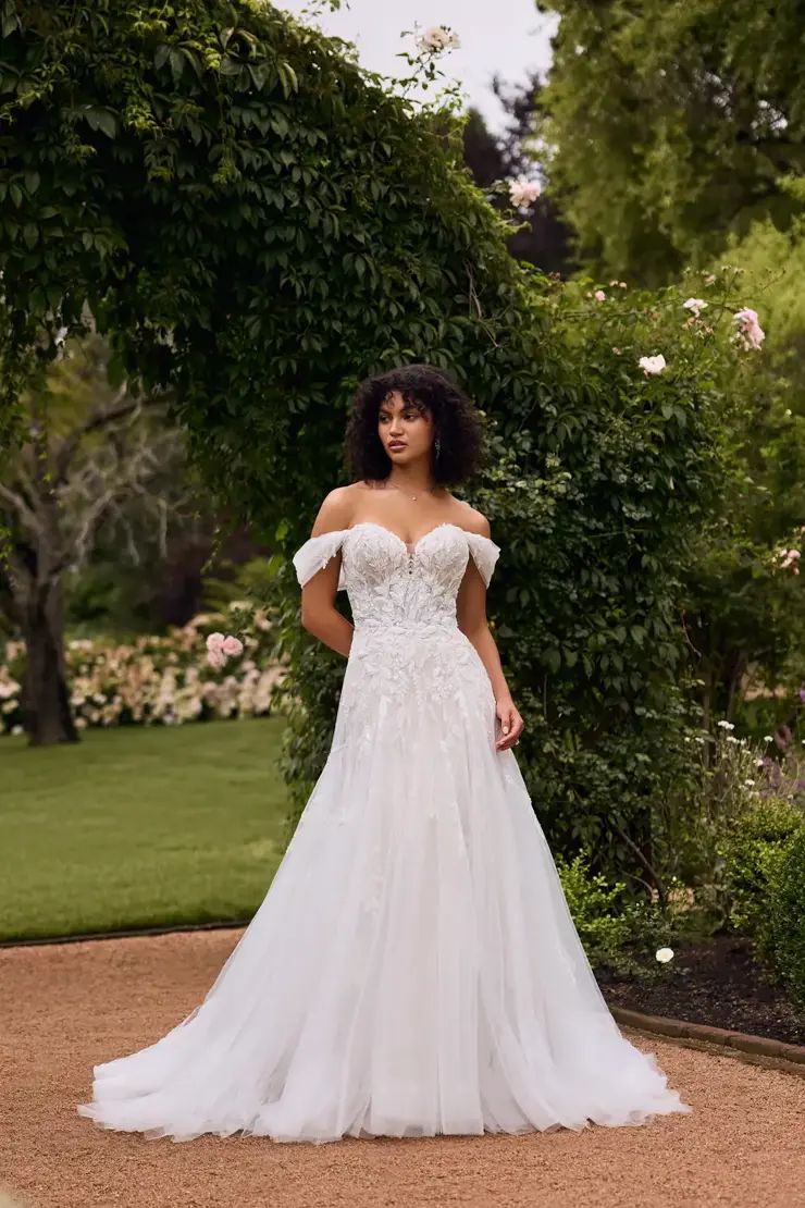 Georgette