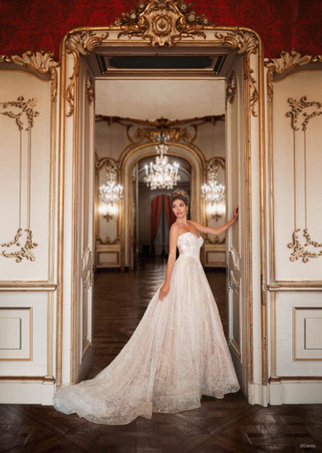 Cinderella 2023  (D363)