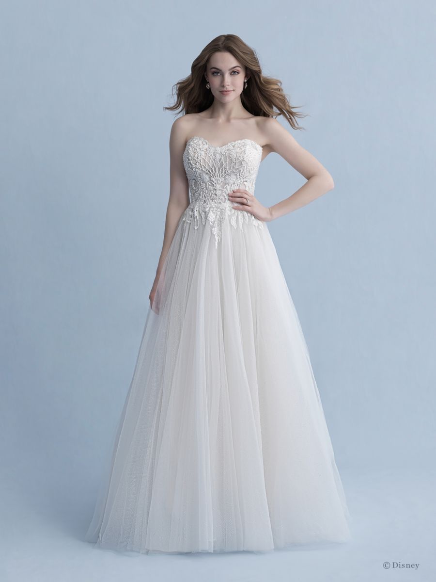 Sleeping Beauty 2020 corset Back Lined