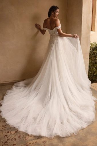 Amelia — photo 3