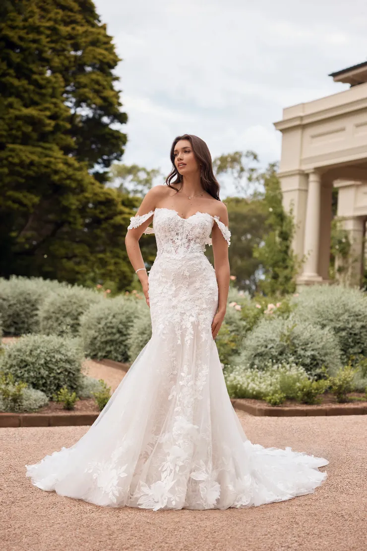 Sophia 2024 tolli bridal